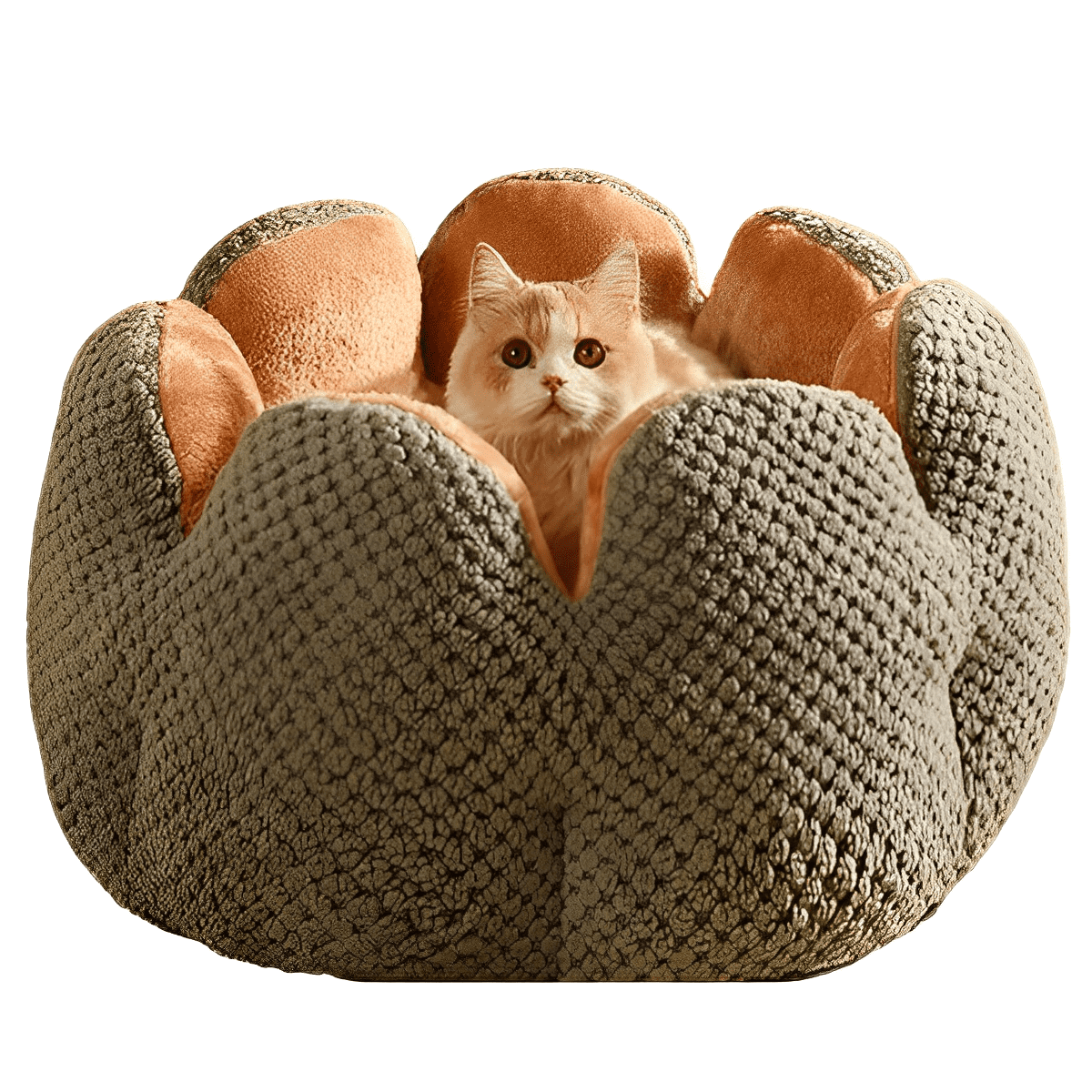Aconchego Supremo: Cama Miauzinho Antiestresse para Gatos