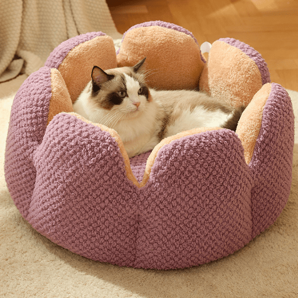 Aconchego Supremo: Cama Miauzinho Antiestresse para Gatos