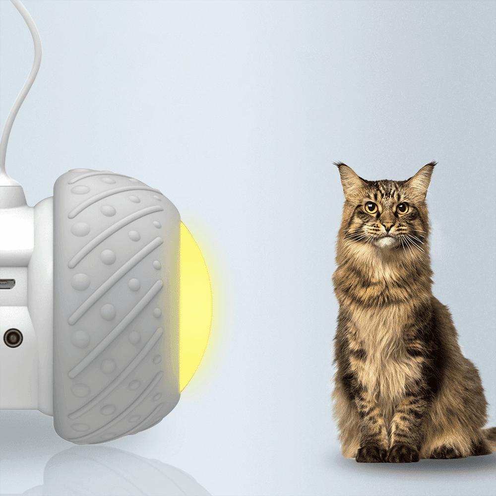 MiauSmart - Brinquedo Eletrônico Inteligente para Gatos!