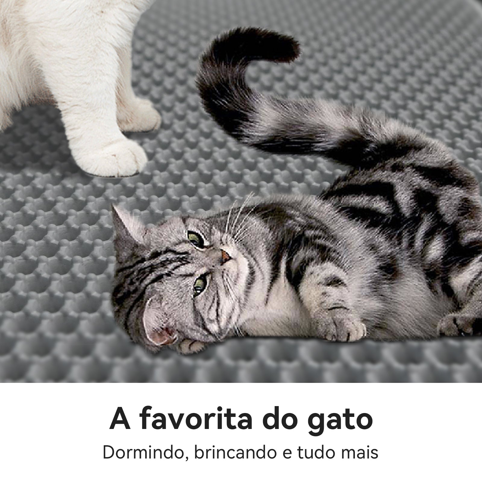 Tapete Limpa Patas Miauzinho – Frete Rápido e Praticidade