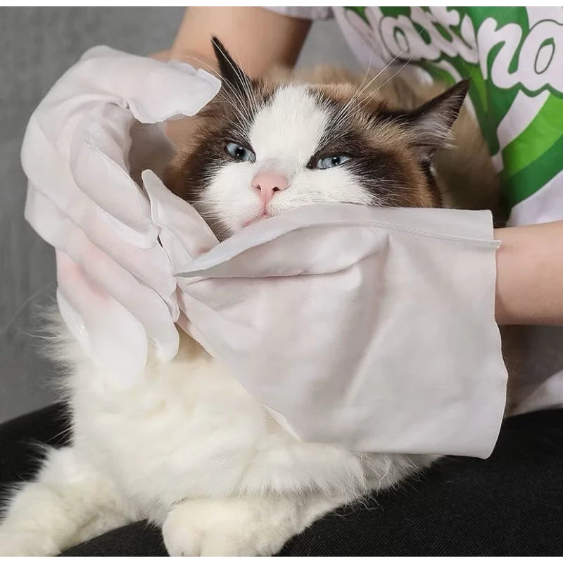 MiauLimp: Luvas Descartáveis para Higienização de Pets