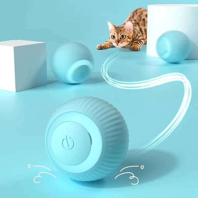 MiauTwist — A bolinha inteligente que se move sozinha, transforma a diversão em saúde, alegria e instinto natural ativado do seu gato. [PROMOÇÃO EXCLUSIVA]