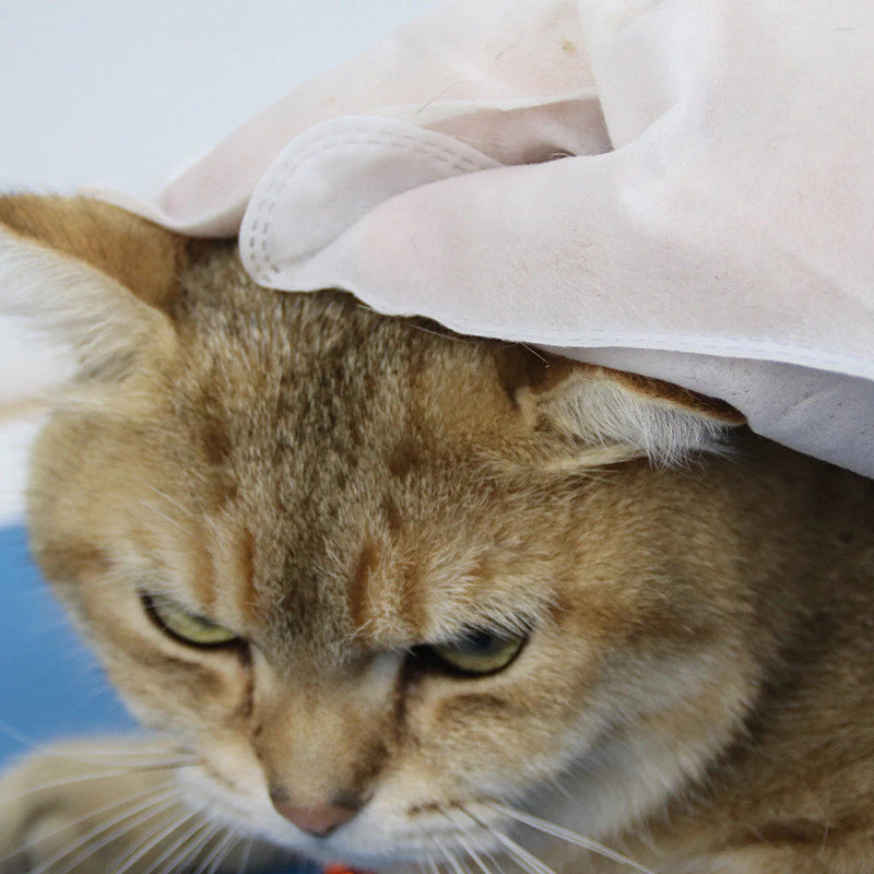 MiauLimp: Luvas Descartáveis para Higienização de Pets